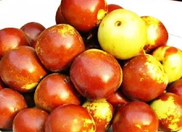 黃驊冬棗:滄州黃驊特產(chǎn)紅棗,國(guó)家地理標(biāo)志產(chǎn)品,黃驊產(chǎn)地寶-黃驊冬棗(4)